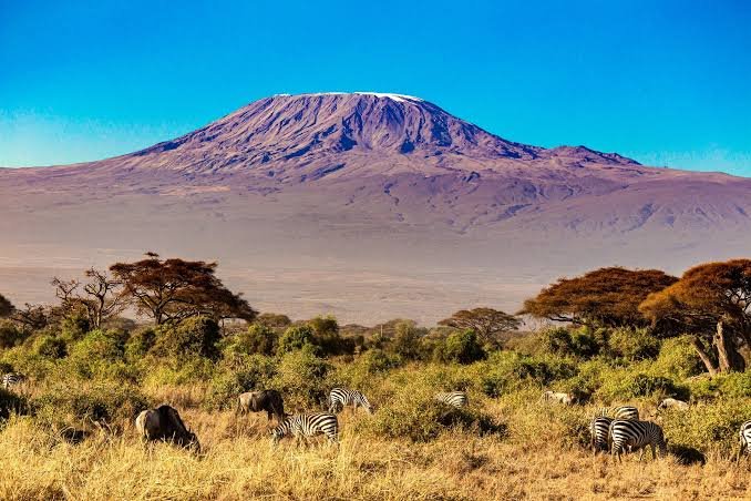 Kilimanjaro Umbwe Route