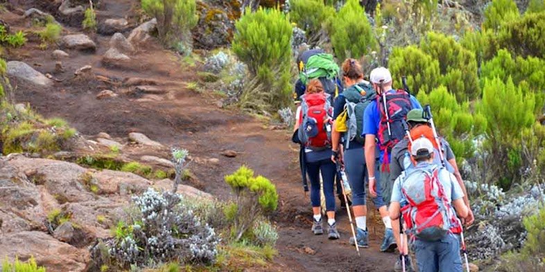 6 Days Rongai Route