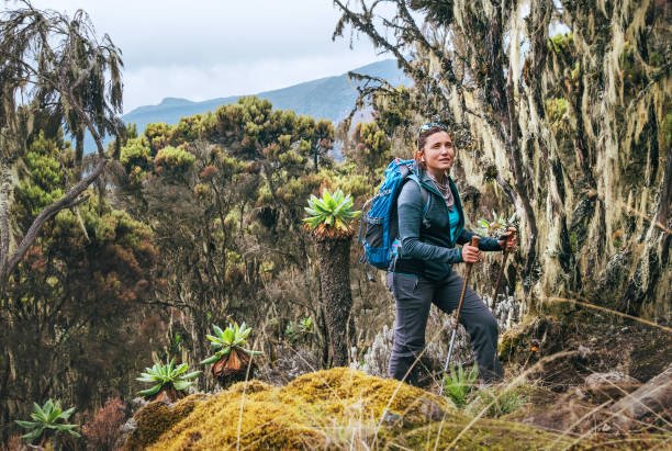 Kilimanjaro Umbwe Route