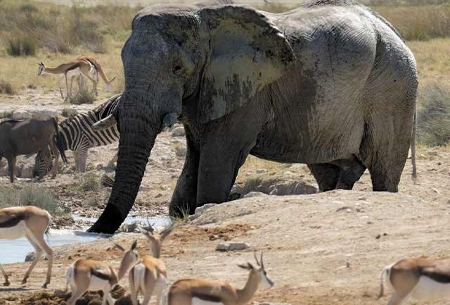 Best Tarangire National Park image 1