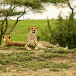 Serengeti National Park